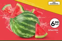 Żabka Arbuz mini oferta