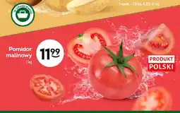 Żabka Pomidory malinowe oferta