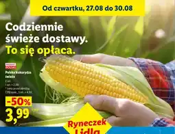 Lidl Kukurydza polska świeża oferta