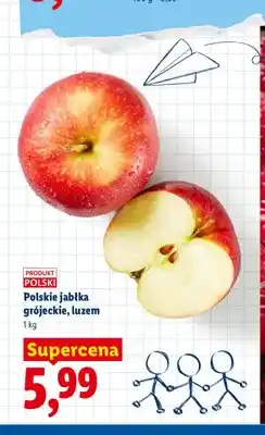 Lidl Jabłka grójeckie polskie oferta