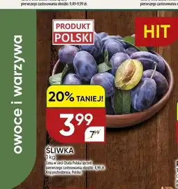 Chata Polska Śliwka oferta