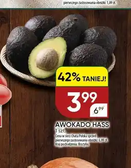 Chata Polska Awokado Hass oferta