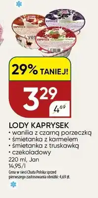 Chata Polska Lody Kaprysek Jan wanilia z czarną porzeczką oferta