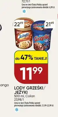 Chata Polska Lody Jeżyki oferta
