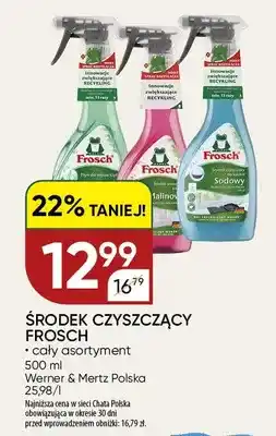 Chata Polska Środek czyszczący Frosch oferta