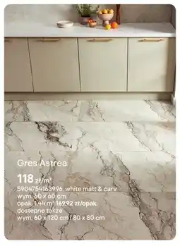 Castorama Gres Astrea white matt & carv 60x60cm oferta