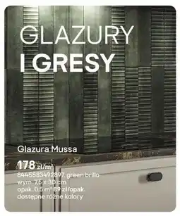 Castorama Glazura Euroceramika Mussa green brillo 7,5x30cm oferta