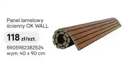Castorama Panel lamelowy ścienny OK WALL wym. 40x90cm oferta