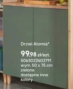 Castorama Drzwi Atomia wym. 50x75cm zielone oferta