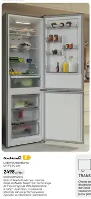 Castorama Lodówkozamrażarka GoodHome GH FS 60cm oferta