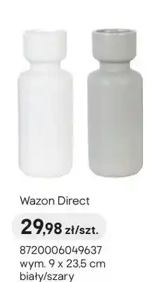 Castorama Wazon Direct wym. 9x23,5cm biały oferta