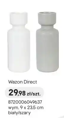 Castorama Wazon Direct oferta