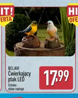 ALDI Ćwierkający ptak LED Belavi oferta