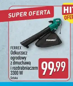 ALDI Odkurzacz ogrodowy Ferrex oferta