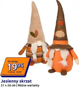Action Jesienny skrzat 51 x 26 cm oferta