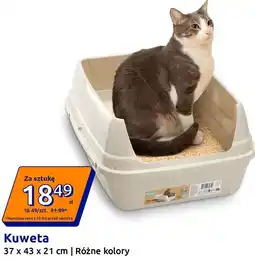 Action Kuweta dla kota 37 x 43 x 21 cm oferta