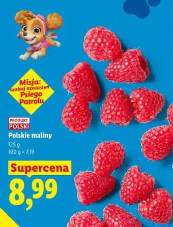 Lidl Polskie maliny oferta
