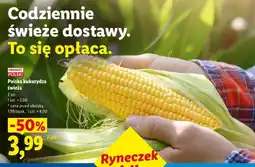 Lidl Polska kukurydza świeża oferta