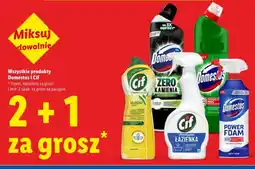 Lidl Mleczko Cream oferta