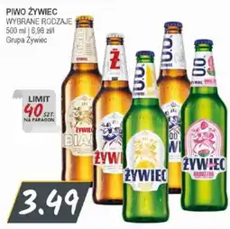 Słoneczko Piwo Żywiec Wybrane Rodzaje oferta