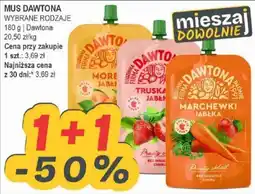 Słoneczko Mus Dawtona oferta