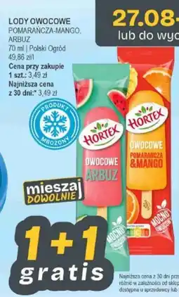 Słoneczko Lody Owoce Hortex oferta