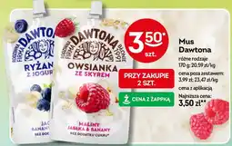 Żabka Mus Dawtona oferta