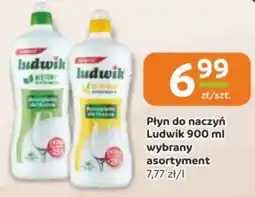 Gama Płyn do naczyń Ludwik oferta