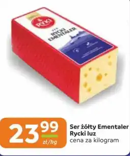 Gama Ser żółty Ementalery Rycki luz oferta