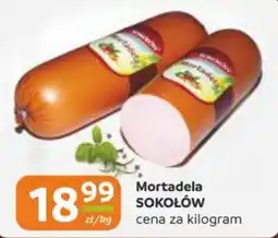 Gama Mortadela SOKOŁÓW oferta