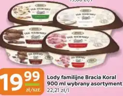 Gama Lody familijne Bracia Koral oferta