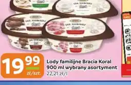 Gama Lody familijne Bracia Koral oferta