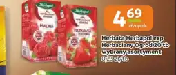 Gama Herbata Herbapol exp Herbacyjny Ogród oferta