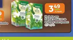 Gama Herbata exp Zielnik Polski oferta