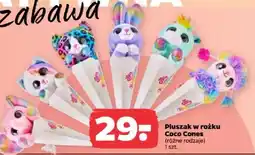 Netto Pluszak w rożku Coco Cones oferta