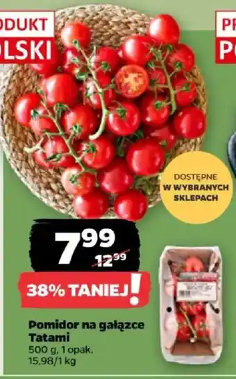 Pomidor na gałązce Tatami