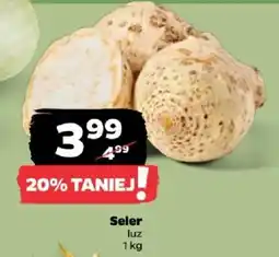 Netto Seler luz oferta
