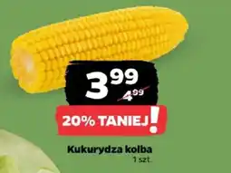Netto Kukurydza kolba oferta