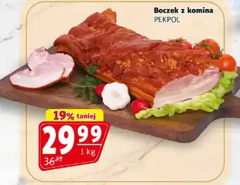 Boczek z komina PEKPOL