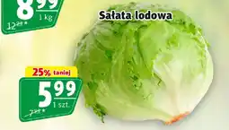 Prim Market Sałata lodowa oferta