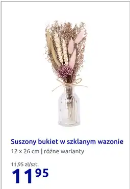 Action Suszony bukiet w szklanym wazonie 12 x 26 cm oferta