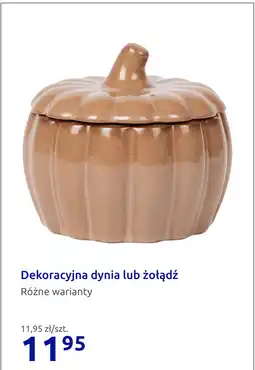 Action Dekoracyjna dynia lub żołądź oferta