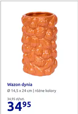 Action Wazon dynia oferta