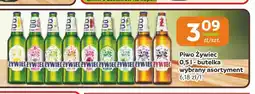 Gama Piwo bezalkoholowe Żywiec oferta