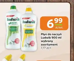Gama Płyn do naczyń Ludwik oferta