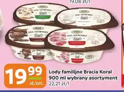 Gama Lody familijne Bracia Koral oferta