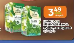 Gama Herbata ekspresowa Herbapol Zielnik Polski melisa oferta
