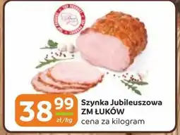 Gama Szynka ZM Łuków oferta