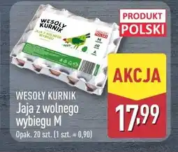 ALDI Jaja Wesoły Kurnik oferta