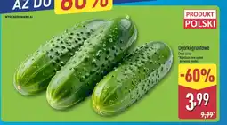 ALDI Ogórki Polski oferta
